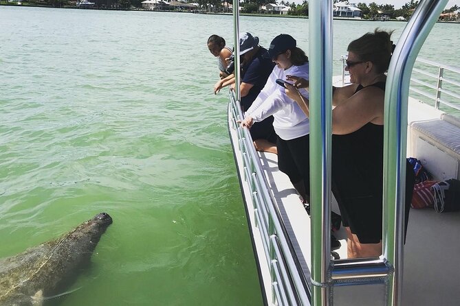 Marco Island Dolphin Sightseeing Tour - The guides make a real difference