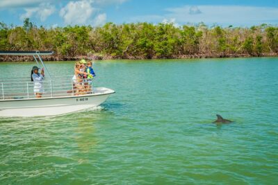 Marco Island Dolphin Sightseeing Tour
