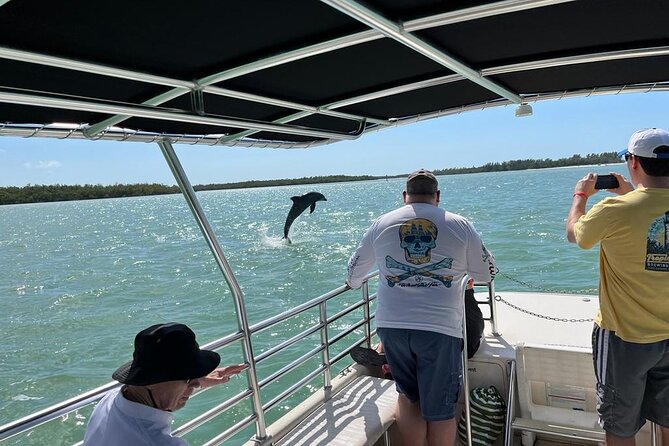 Marco Island Dolphin Sightseeing Tour - What is included, and what you still need to plan