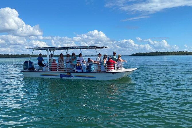 Marco Island Dolphin Sightseeing Tour - Weather is the main variable