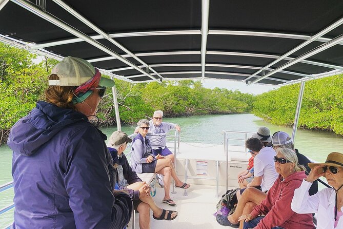 Marco Island Dolphin Sightseeing Tour - Who will enjoy this Marco Island boat tour