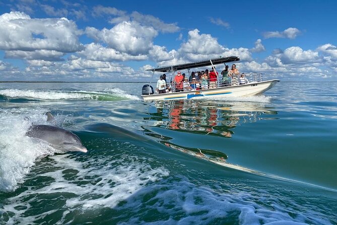 Marco Island Dolphin Sightseeing Tour - Cancellation and practical timing