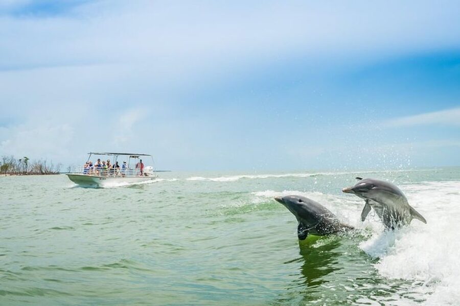 Marco Island: Dolphin-Watching Boat Tour - Setting out from Goodland on a two-hour cruise