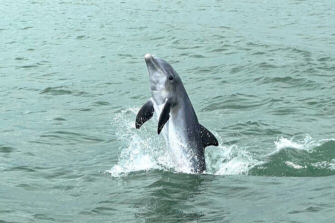 Marco Island Dolphin Watching & Tubing Adventure - Captain Clay and the family-friendly pace