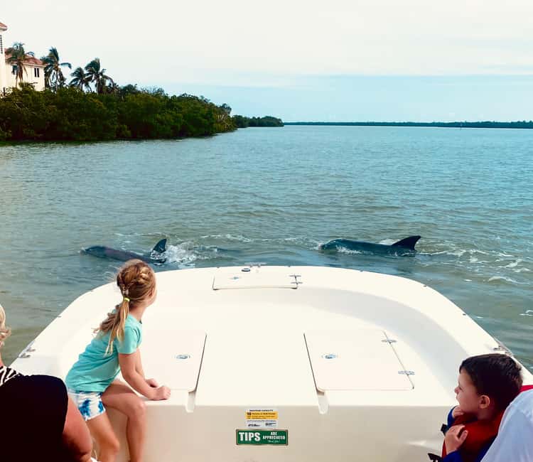 Marco Island: Private Shelling & Dolphin Excursion - Key points to know before you book