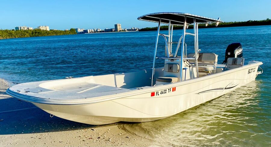 Marco Island: Private Shelling & Dolphin Excursion - Shelling on an uninhabited barrier island