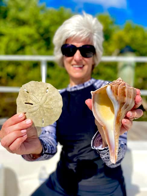 Marco Island: Private Shelling & Dolphin Excursion - What the 150 minutes feels like