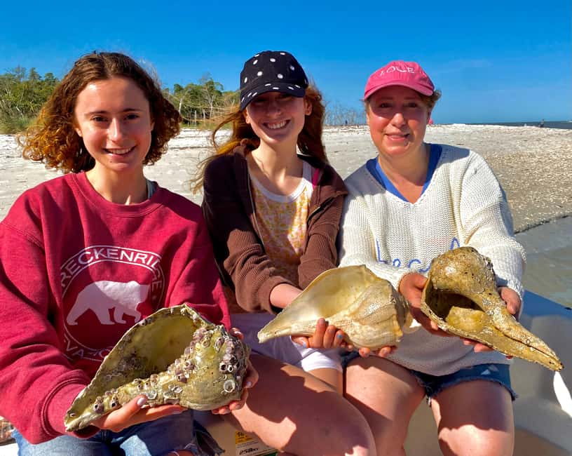 Marco Island: Private Shelling & Dolphin Excursion - A good family outing, with a few practical limits