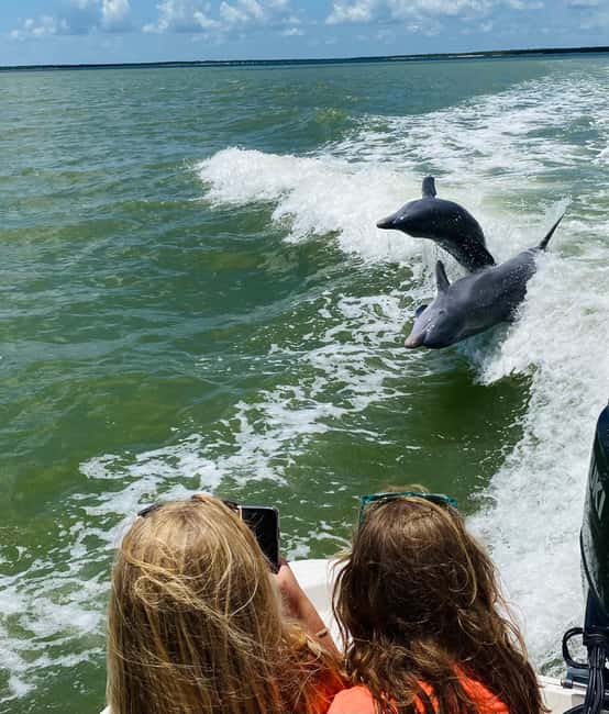 Marco Island: Private Shelling & Dolphin Excursion - What is included, and what you should bring