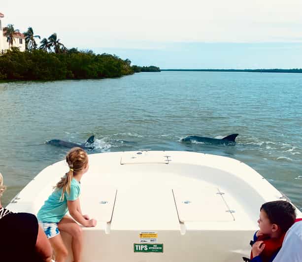Marco Island: Private Shelling & Dolphin Excursion - Dolphin watching near Marco Island
