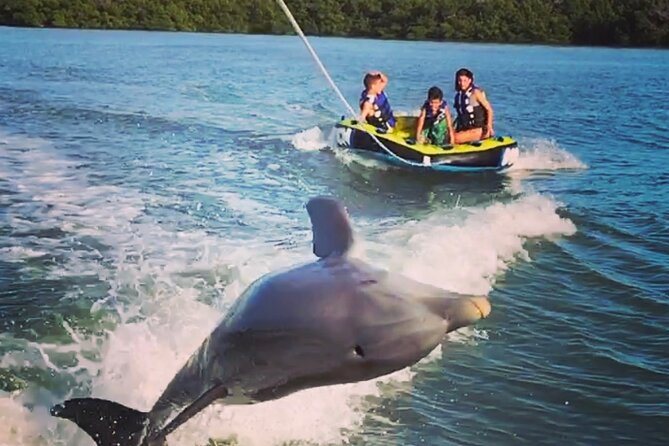 Marco Island Private Tubing, Dolphin Watching and Shelling Tour - A private route into the 10,000 Islands