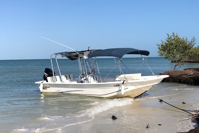 Marco Island Private Tubing, Dolphin Watching and Shelling Tour - Practical details before you reserve