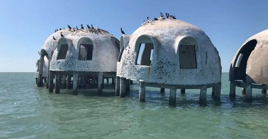 Marco Island: Ten Thousand Islands Shelling & Dolphin Tour - A remote barrier island for shells and sand dollars