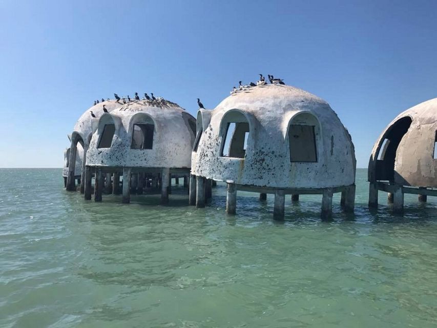 Marco Island: Ten Thousand Islands Shelling & Dolphin Tour - What the $159 price gets you