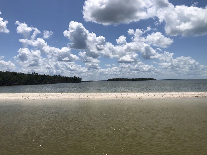 Marco Island: Ten Thousand Islands Shelling & Dolphin Tour - Who will enjoy this outing most