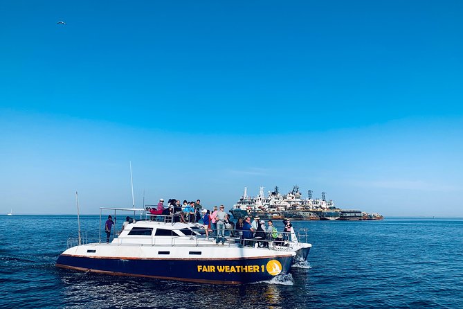 Marine Dolphin Seal Cruise - How the $74.99 price holds up