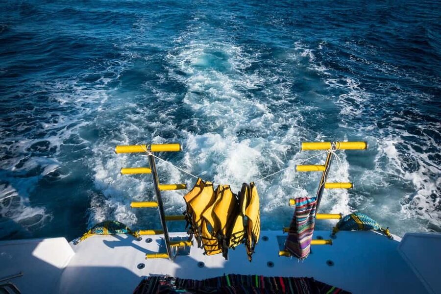 Marsa Alam: Dolphin House Adventure at Shaab Samadai Reef - Two snorkeling sessions around coral gardens