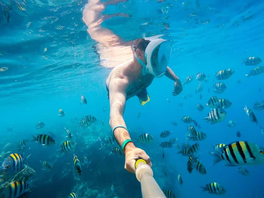 Marsa Alam:Sataya Reefs Dolphin Snorkeling Cruise with Lunch - Key points to know