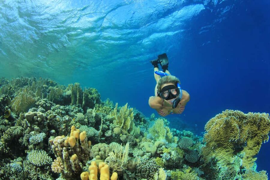 Marsa Alam:Sataya Reefs Dolphin Snorkeling Cruise with Lunch - Setting out by boat across the Red Sea
