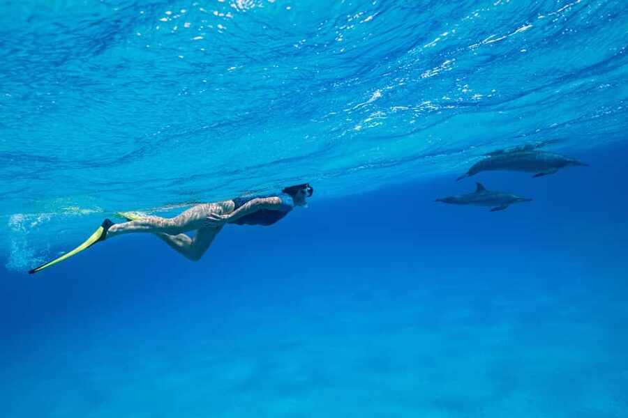 Marsa Alam:Sataya Reefs Dolphin Snorkeling Cruise with Lunch - The early pickup and long road to the marina