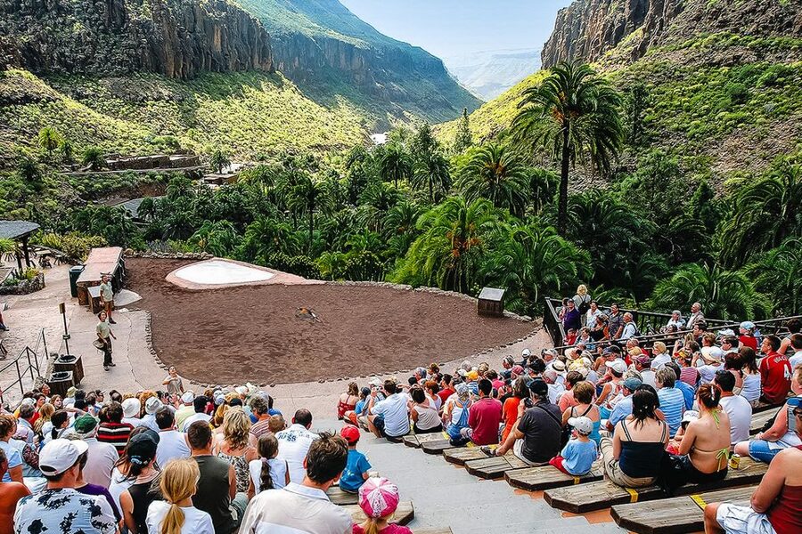 Maspalomas: Palmitos Park Ticket with Dolphin and Bird Shows - Butterfly house, orchids and the quieter paths