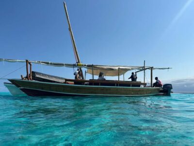 Matemwe: Mnemba Island Dolphin & Snorkeling Boat Trip