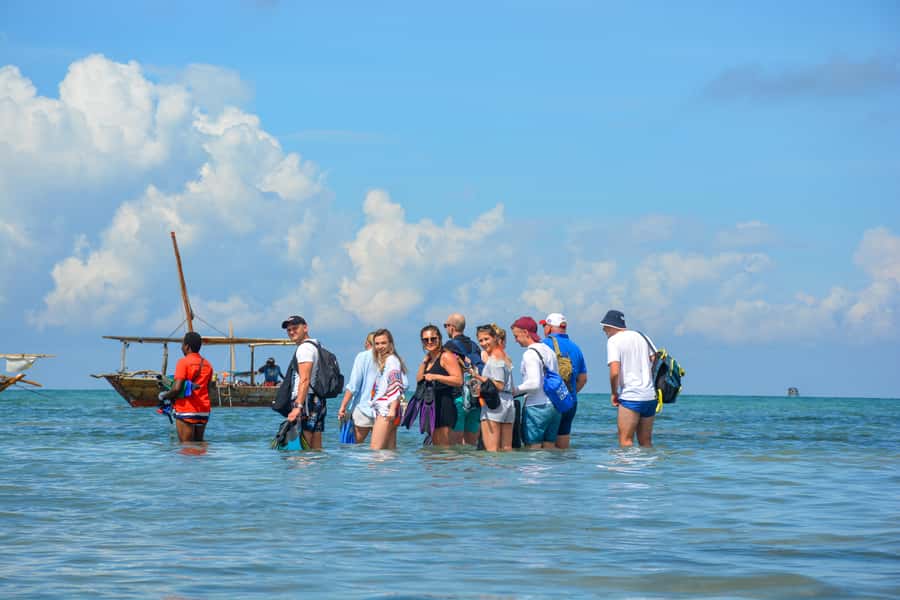 Matemwe: Mnemba Island Dolphin & Snorkeling Boat Trip - Who will enjoy this trip most