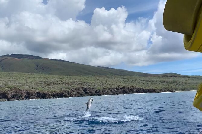 Maui Eco-Raft: 2 Hour Dolphin Watch Sightsee Tour (Semi-Private) - Why the small group changes the experience