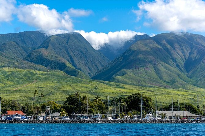Maui Eco-Raft: 2 Hour Dolphin Watch Sightsee Tour (Semi-Private) - Booking, cancellation, and practical details