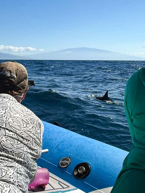 Maui: Eco-Raft Dolphin Watch Tour with Snacks - Key things to know before you book