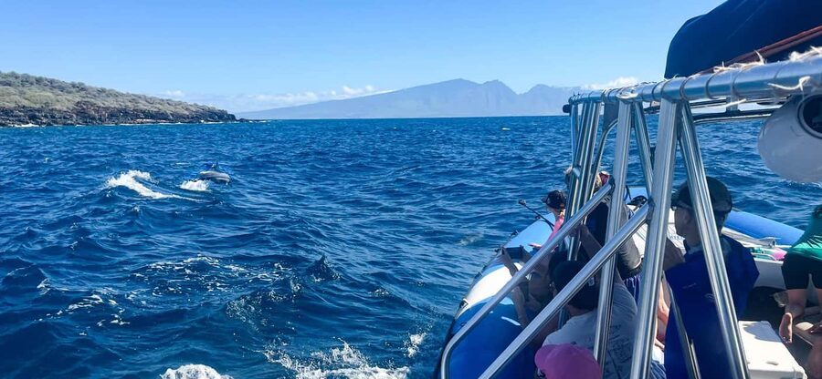 Maui: Eco-Raft Dolphin Watch Tour with Snacks - West Maui and Lanai from the water