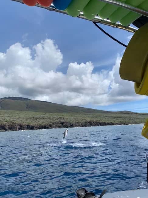 Maui: Eco-Raft Dolphin Watch Tour with Snacks - Snacks, drinks, and what to bring