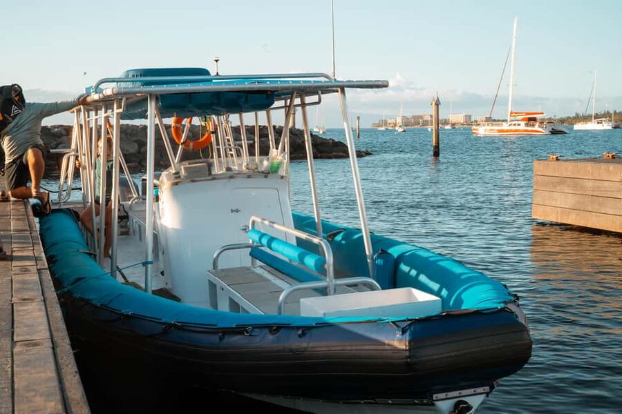 Maui: Eco-Raft Dolphin Watch Tour with Snacks - Is $96 a fair price for two hours?