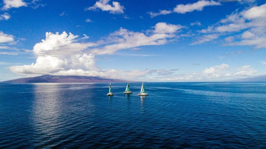 Maui: Kaanapali Dolphin Watching Boat Trip with Lunch - Who Will Enjoy This Sail Most