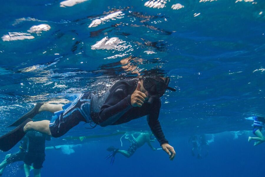 Maui: Lanai Snorkel & Dolphin Watch with Lunch - Who will enjoy this Lanai trip most?