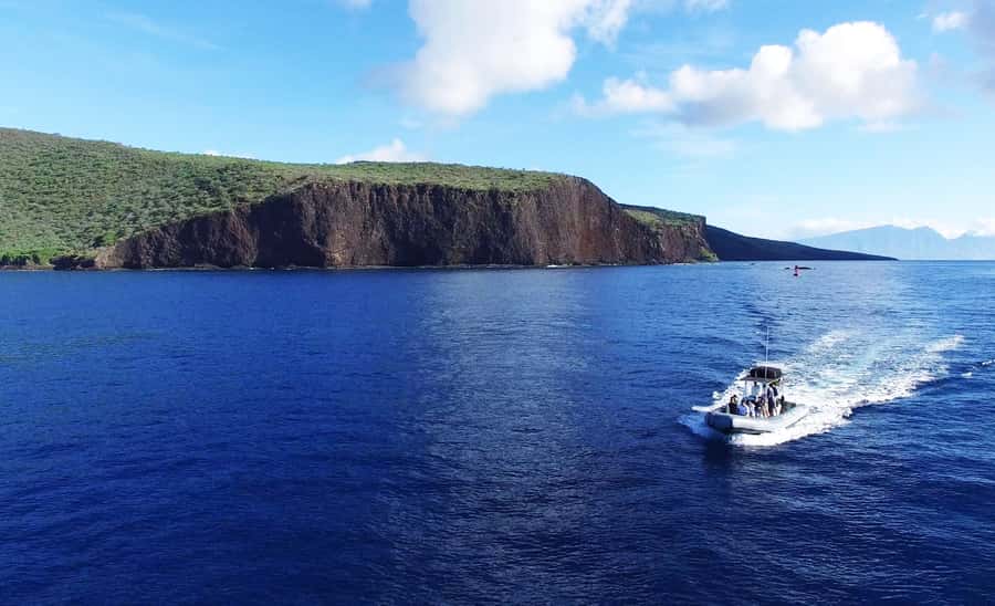 Maui: Semi-Private Eco-Raft Lanai Snorkel & Dolphin Tour - What $204 really buys you