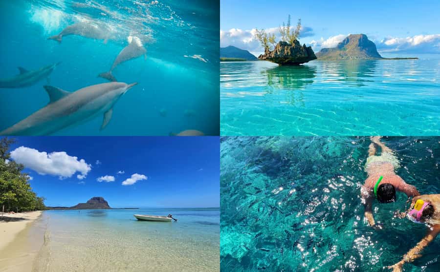Mauritius: Benitier Island - Swim Dolphins - Speedboat & BBQ - The secret stop for a swim and snorkel