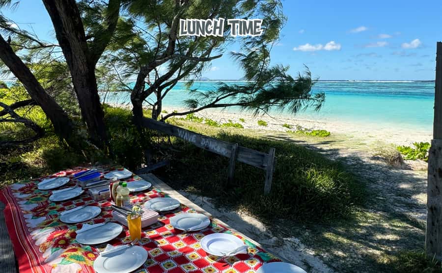 Mauritius: Benitier Island - Swim Dolphins - Speedboat & BBQ - Weather, visibility, and wildlife ethics