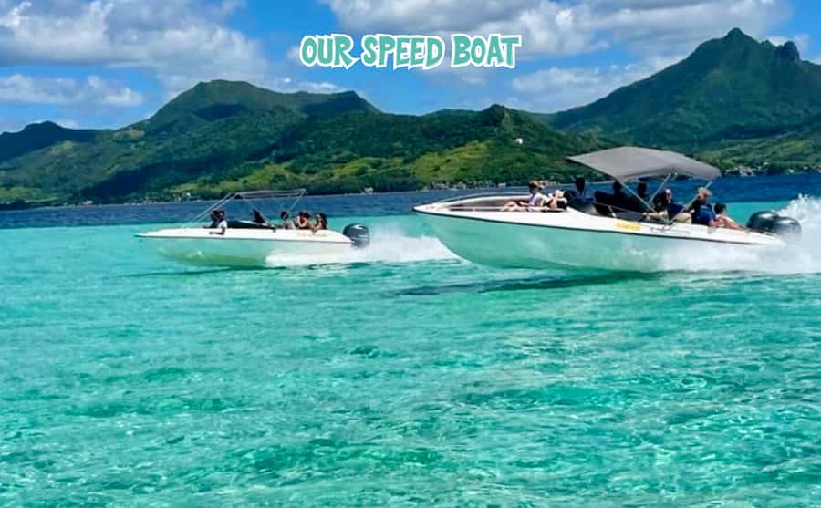 Mauritius: Benitier Island - Swim Dolphins - Speedboat & BBQ - Searching for dolphins off Black River
