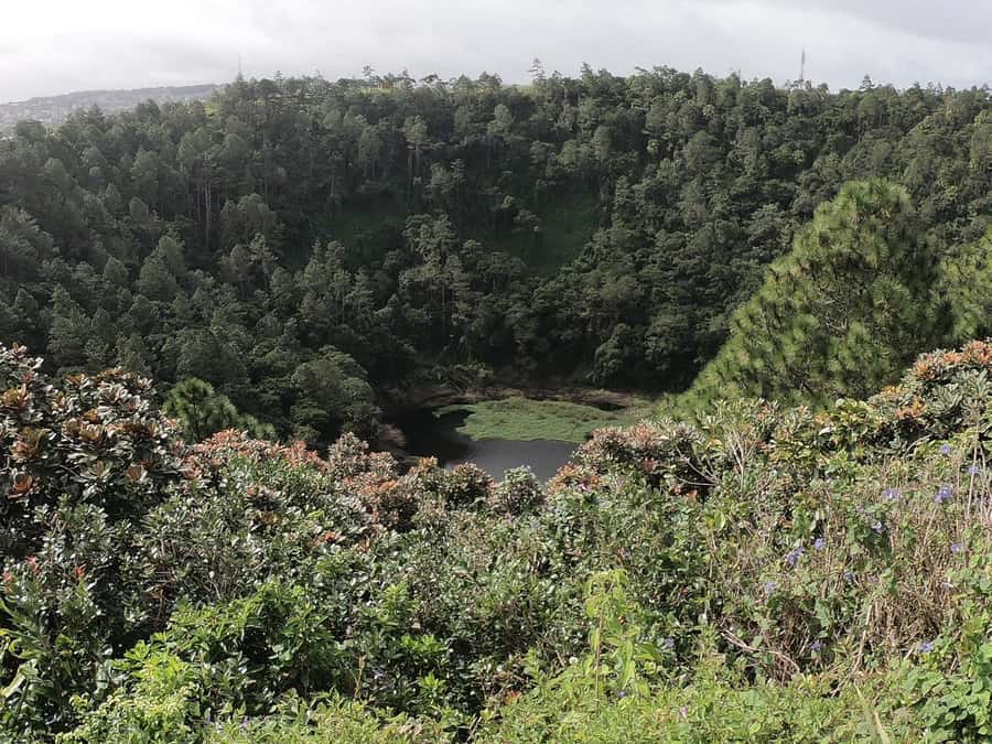 Mauritius: Dolphin Encounter, Trou aux Cerf and Grand Bassin - Trou aux Cerfs, a volcano above Curepipe