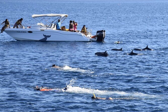 Mauritius : Dolphins Swim and Ile Aux Bénitiers with BBQ - Setting out from Tamarin at 7:30 AM