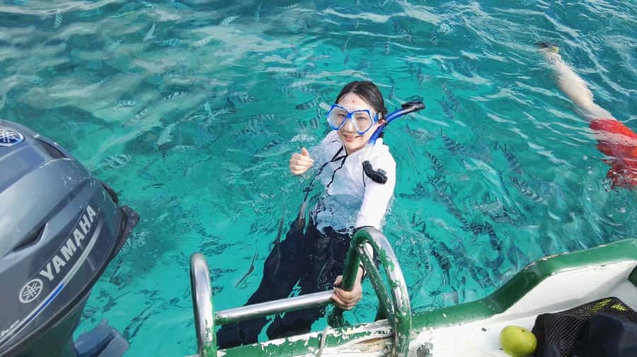 Mauritius: Dolphins watch half-day - Morning pickup from anywhere on Mauritius
