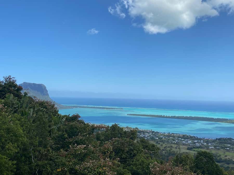 Mauritius: Dolphins watch half-day - Watching dolphins off Mauritius’s west coast
