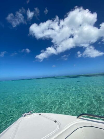 Mauritius Le Morne: Eco-Friendly Dolphin Watching Tour