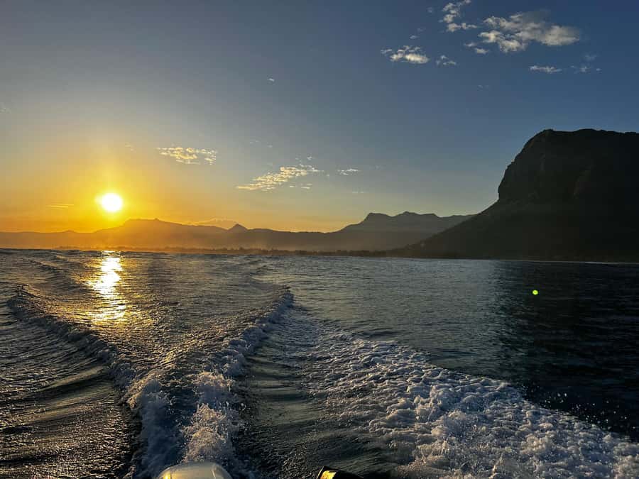 Mauritius Le Morne: Eco-Friendly Dolphin Watching Tour - Snorkeling in the lagoon