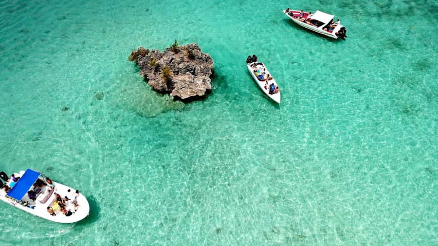 Mauritius: Ocean Swim with Dolphins - What the $93 price really covers