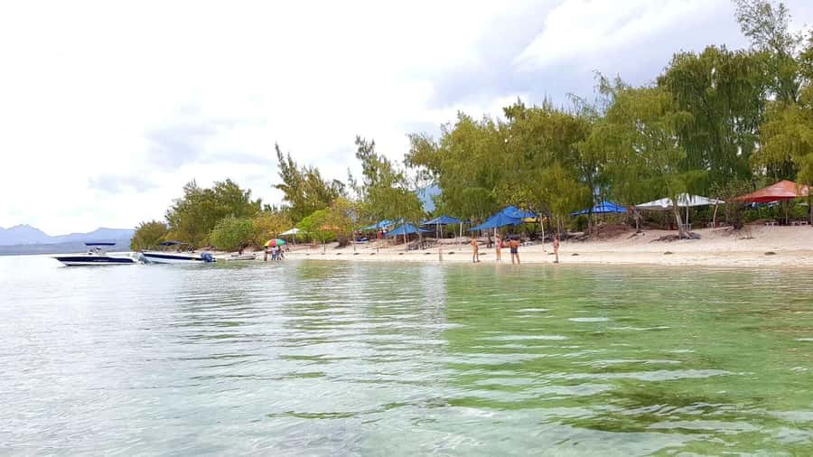 Mauritius: Ocean Swim with Dolphins - Who will enjoy this Mauritius boat day