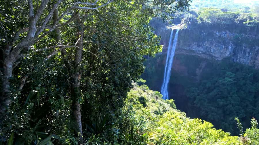 Mauritius: Private South Side and Dolphin Adventure Tour - Tamarin Waterfalls and the first inland stops
