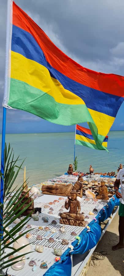 Mauritius: Snorkel and Swim with Dolphins on Speedboat Tour - Who will enjoy this Mauritius boat trip