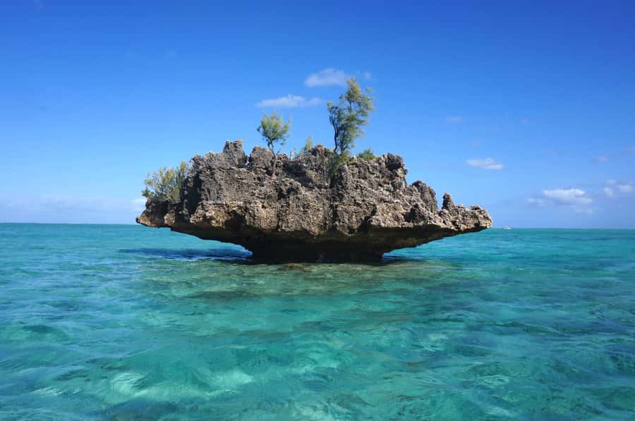 Mauritius: Swim with Dolphins Full-Day with Lunch/Drinks - Starting at La Preneuse before the boats get busy